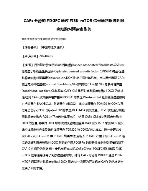 CAFs分泌的PDGFC通过PI3K-mTOR信号通路促进乳腺癌细胞对阿霉素耐药