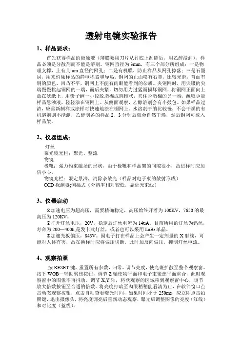 透射电镜报告