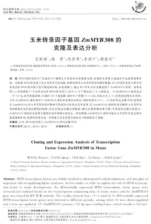 玉米转录因子基因ZmMYB308的克隆及表达分析