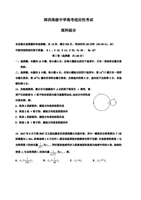 广东省深圳市高级中学2019届高三适应性考试(6月)物理试题(含答案)