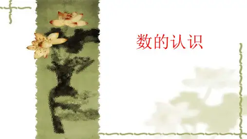 新苏教版六年级数学下册数的认识总复习资料