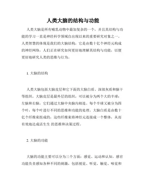 人类大脑的结构与功能