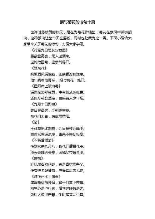 描写菊花的诗句十篇