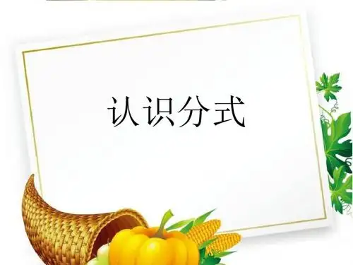 湘教初中数学八上《1.1分式》PPT课件