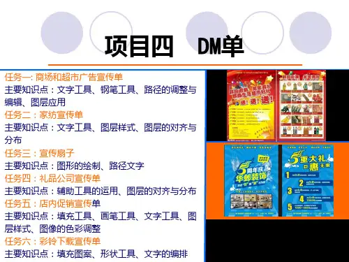 DM单设计PPT课件