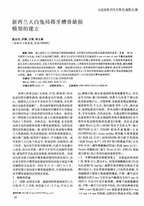 新西兰大白兔局部牙槽骨缺损模型的建立