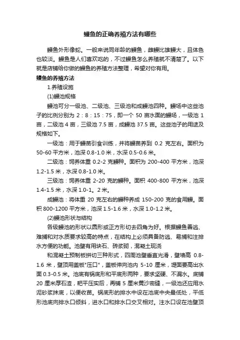 鳗鱼的正确养殖方法有哪些