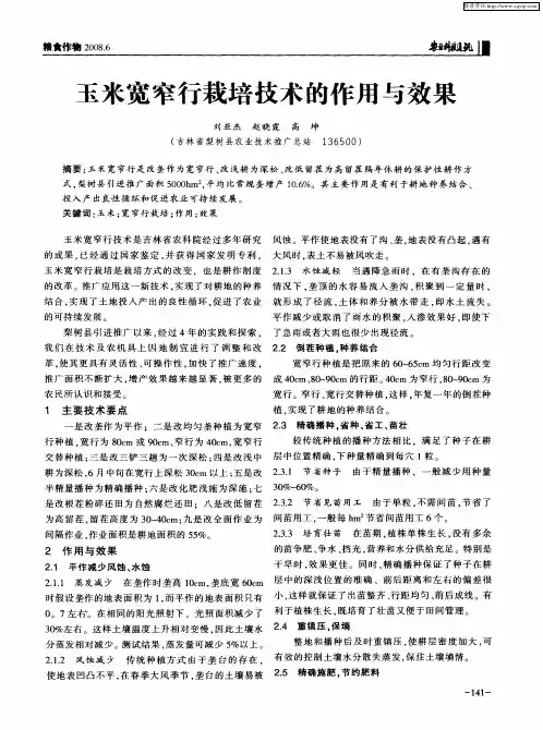 玉米宽窄行栽培技术的作用与效果