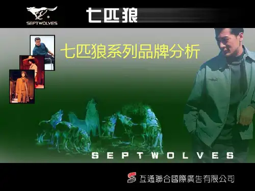 七匹狼系列品牌分析讲解