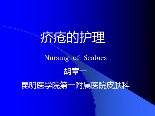 疥疮的护理PPT课件