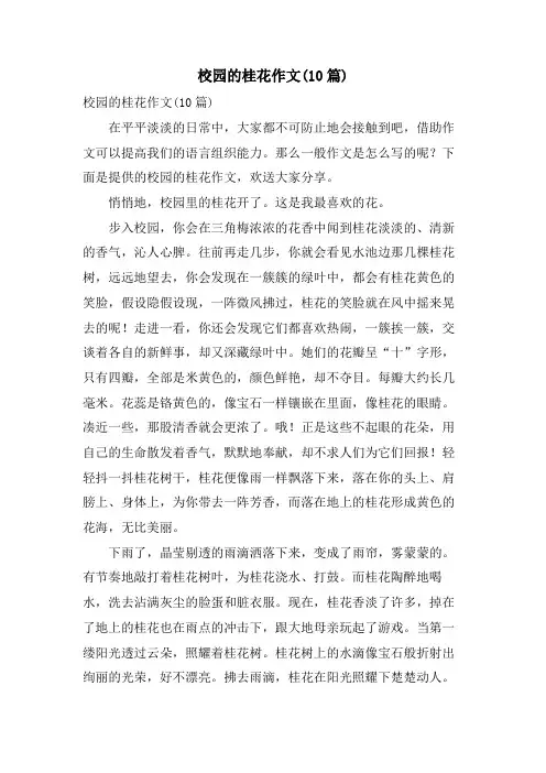 校园的桂花作文(10篇)