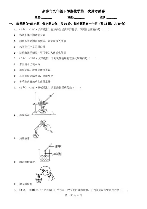 新乡市九年级下学期化学第一次月考试卷
