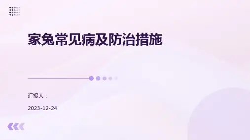 家兔常见病及防治措施
