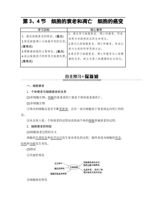 2019-2020学年人教版生物必修一讲义：第6章 第3、4节 细胞的衰老和凋亡 细胞的癌变 