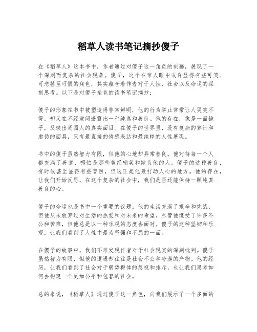稻草人读书笔记摘抄傻子