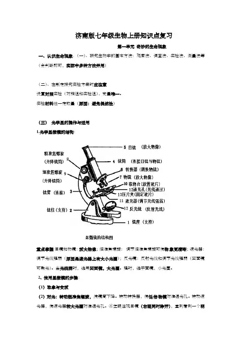 济南版七年级生物上册知识点复习