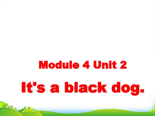 新外研版三年级英语上册Module 4 Unit 2 It is a black dog 课件