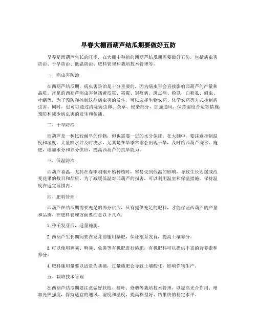 早春大棚西葫芦结瓜期要做好五防
