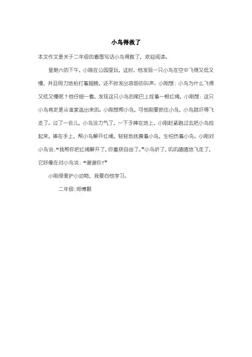 小学二年级看图写话：小鸟得救了