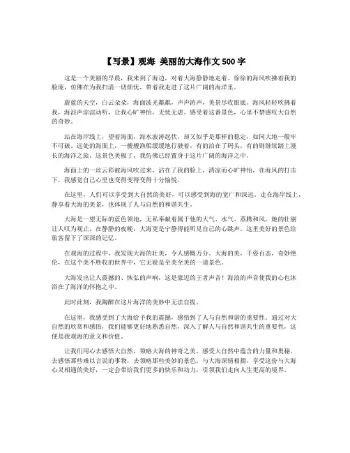 【写景】观海 美丽的大海作文500字