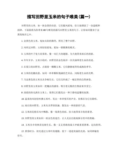 描写田野里玉米的句子唯美(精选合集2篇)