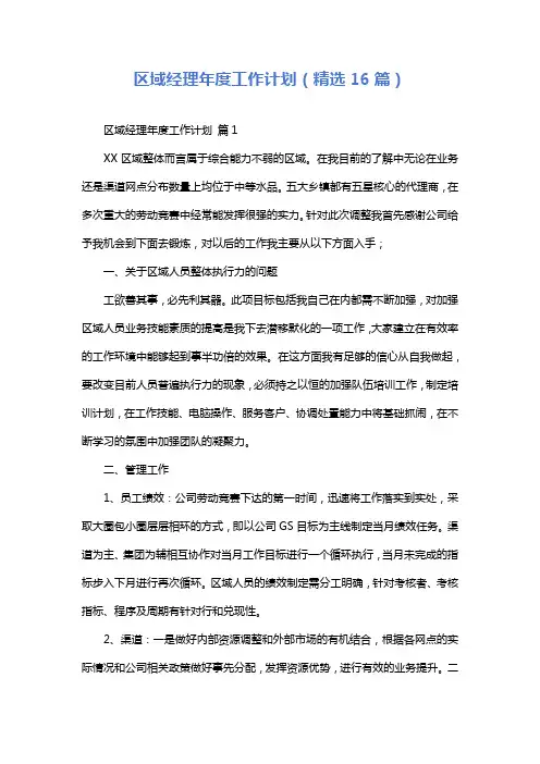 区域经理年度工作计划(精选16篇)
