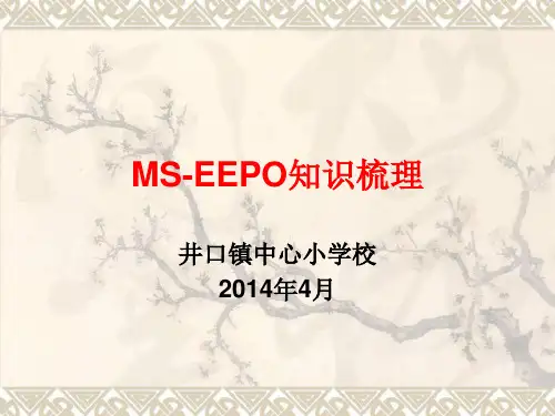 MS-EEPO有效教育