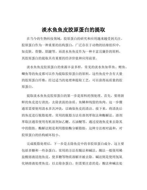 淡水鱼鱼皮胶原蛋白的提取