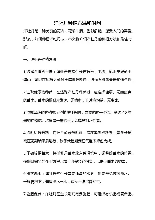 洋牡丹种植方法和时间