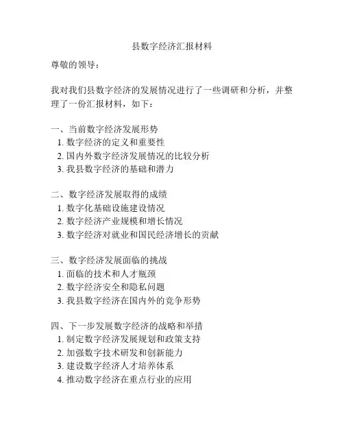 县数字经济汇报材料