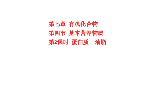 2022-2023学年人教版必修第二册 第七章  第四节  第2课时 蛋白质 油脂 课件(37张)