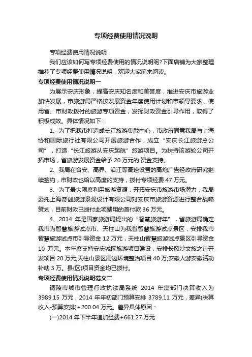 专项经费使用情况说明
