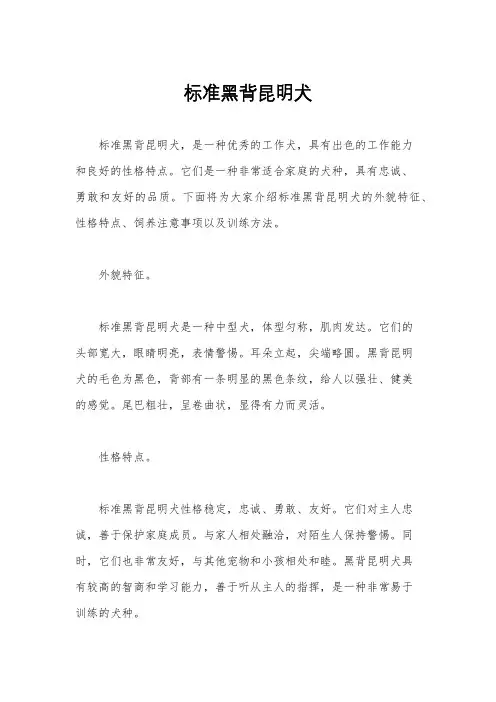 标准黑背昆明犬