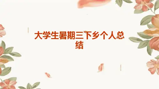 大学生暑期三下乡个人总结PPT