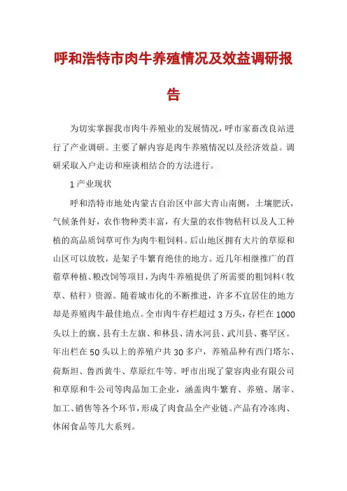 呼和浩特市肉牛养殖情况及效益调研报告