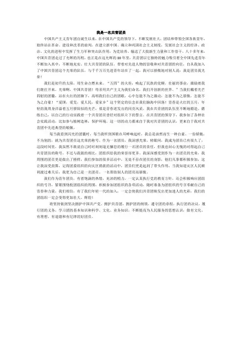 征文我是一名共青团员