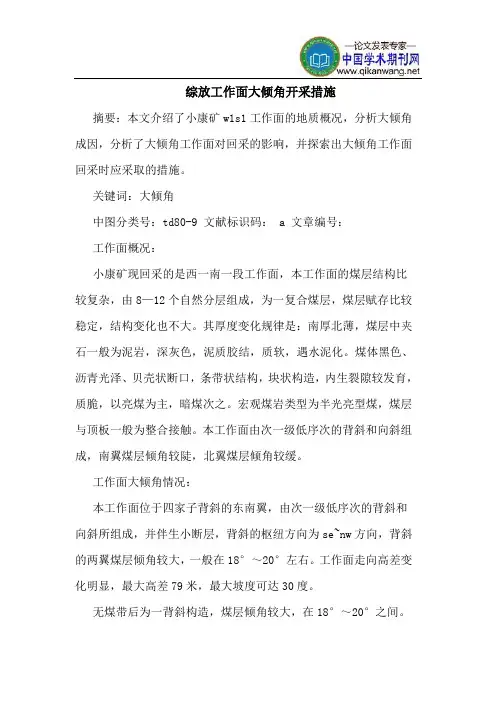 综放工作面大倾角开采措施