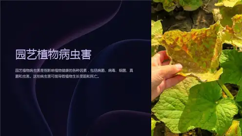 园艺植物病虫害