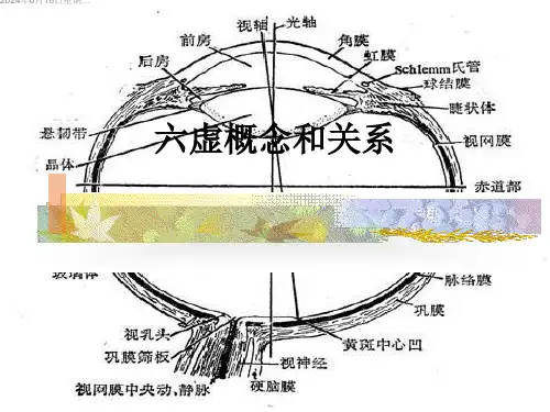七年制中医眼科学--圆翳内障 PPT课件