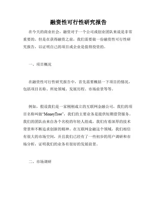 融资性可行性研究报告