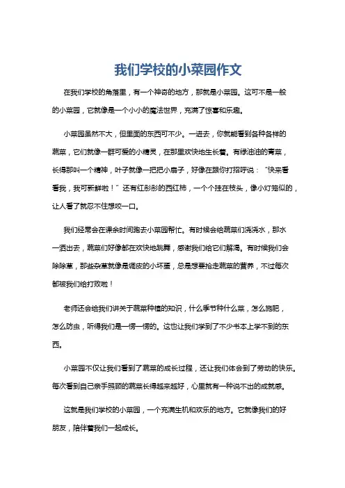 我们学校的小菜园作文