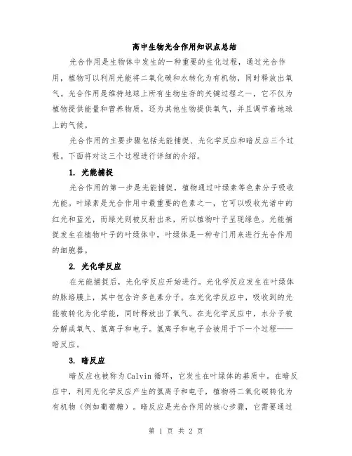 高中生物光合作用知识点总结