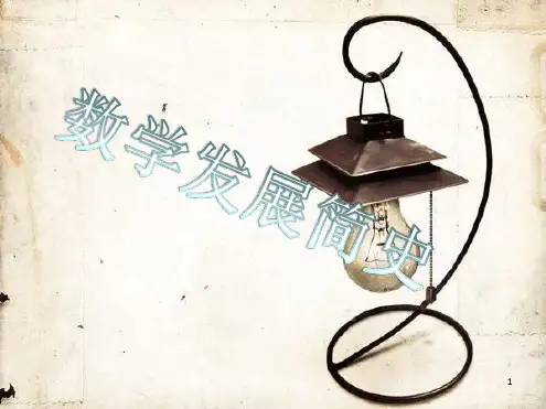 数学的发展历史最新PPT课件