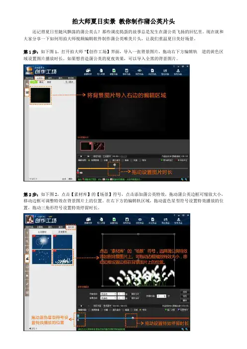 拍大师教你制作唯美蒲公英片头