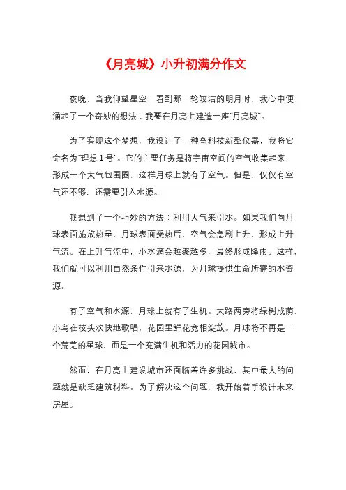 《月亮城》小升初满分作文