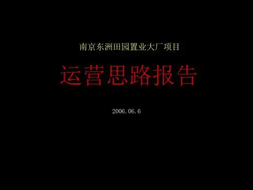 000南京XX田园置业大厂项目运营思路报1533236158精品资料