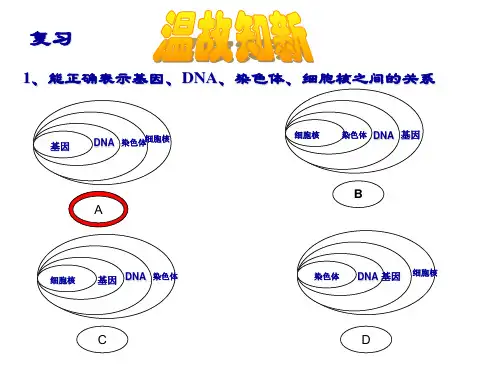 北师大版生物八年级上册20.3《性状遗传有一定的规律性》 课件(共20张PPT)