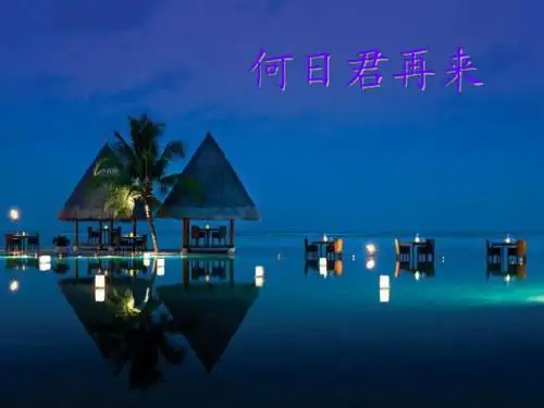 何日君再来