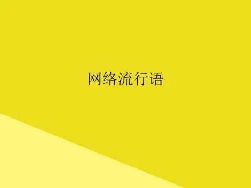 网络流行语PPT资料(正式版)
