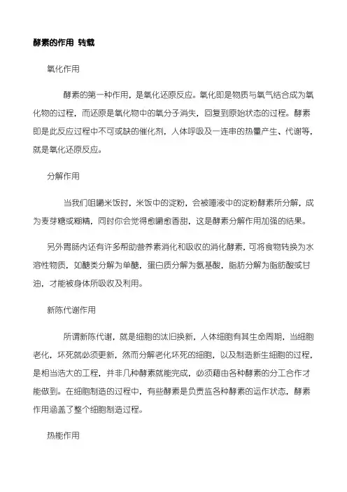 酵素的作用